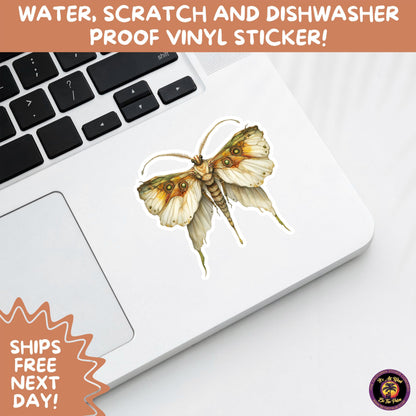 GOTH MOTH STICKERS | Gothic Insect Vinyl Stickers, Dark Aesthetic Stickers for Laptops Journals, Spooky Bug Stickers, Moth Witchy Decor