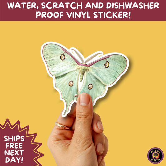 LUNA MOTH STICKERS | moth, sticker, luna moth, moon moth, cottage core, large moth, insect sticker, laptop sticker,