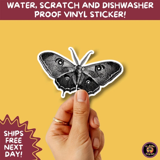 LUNA MOTH STICKERS | moth, sticker, luna moth, moon moth, cottage core, large moth, insect sticker, laptop sticker,