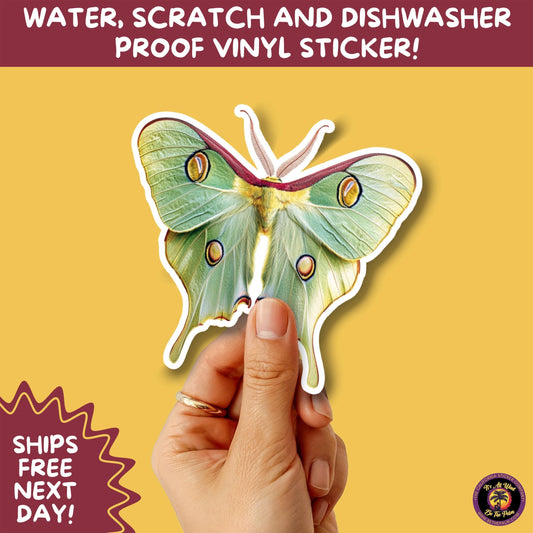 LUNA MOTH STICKERS | moth, sticker, luna moth, moon moth, cottage core, large moth, insect sticker, laptop sticker,