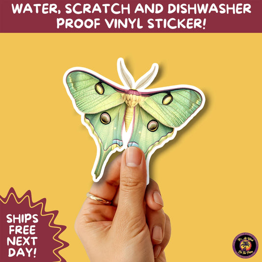 LUNA MOTH STICKERS | moth, sticker, luna moth, moon moth, cottage core, large moth, insect sticker, laptop sticker,