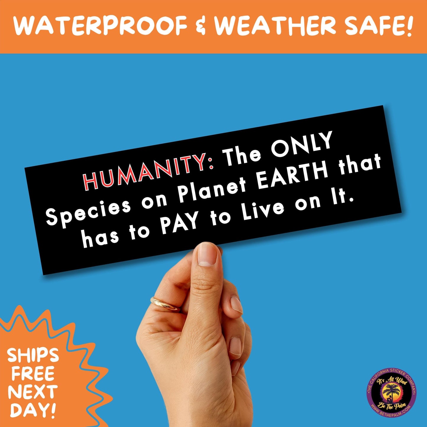 BUMPER STICKER | Funny Vinyl Decals for Cars Trucks Laptops Durable Waterproof Outdoor Sticker Gift for Drivers and Road Trips