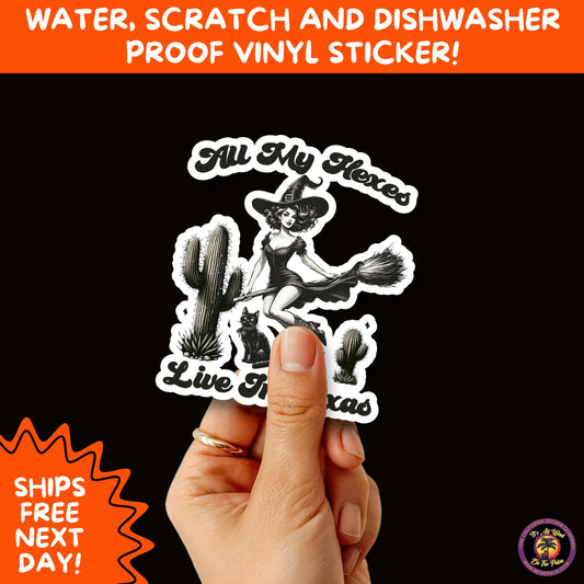HALLOWEEN VINYL STICKERS | Spooky Ghosts, Witches, Pumpkins, Skulls and Bats – Waterproof Halloween Sticker Pack for All Ages