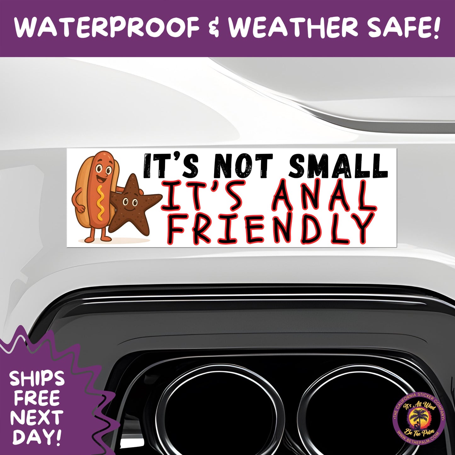 BUMPER STICKER | Funny Vinyl Decals for Cars Trucks Laptops Durable Waterproof Outdoor Sticker Gift for Drivers and Road Trips